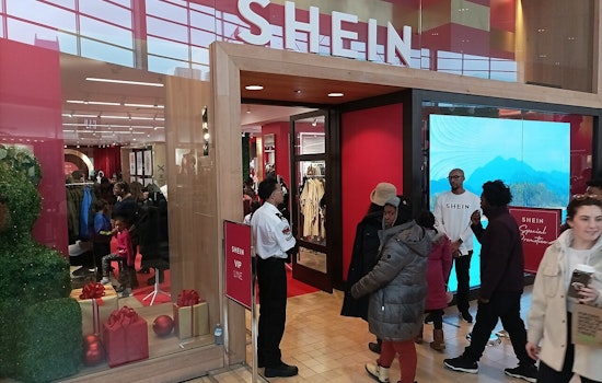 Shein Settles Lawsuit for $700,000 Over Slow Shipping Violations in California