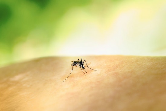 Shelby County Health Department Rolls Out Mosquito Control Schedule to Combat West Nile Virus Spread