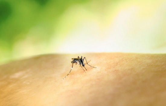 Shelby County Health Department Rolls Out Mosquito Control Schedule to Combat West Nile Virus Spread