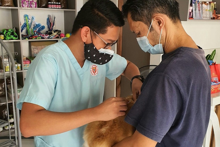 Shelby County Health Department Teams Up with All 4s Rescue League for Free Pet Vaccination Event in Millington