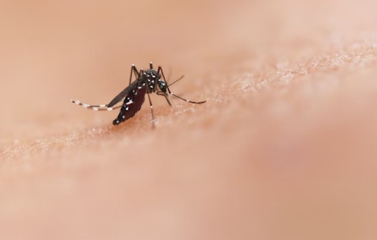 Shelby County Health Dept Announces Mosquito Control Schedule to Combat West Nile Virus Spread