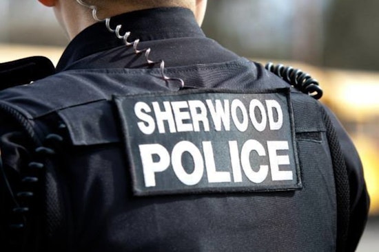 Sherwood Man Indicted on Charges of Criminal Mistreatment and Theft Involving Late Father