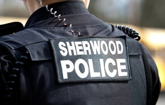 Sherwood Man Indicted on Charges of Criminal Mistreatment and Theft Involving Late Father