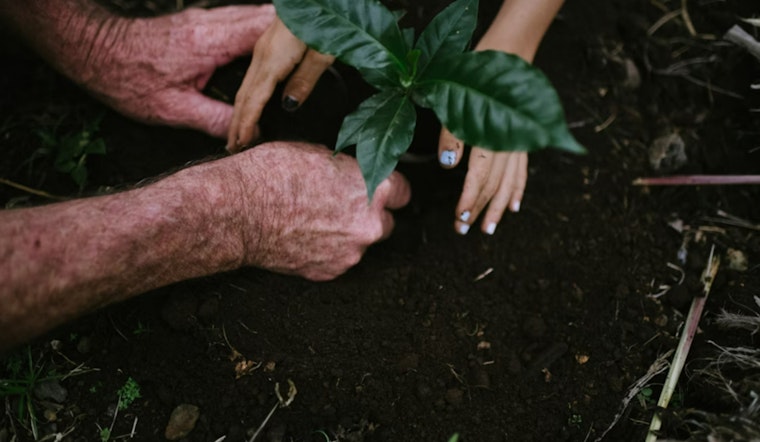 Shoreline's Communi-trees Program Offers Free Trees to Residents, Schools, and Businesses