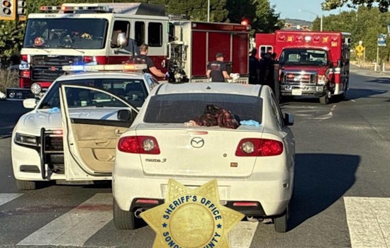 Sonoma County Shocked as Man with Gunshot Wound Crashes into Sheriff's Patrol Car, Dies Despite Rescue Efforts