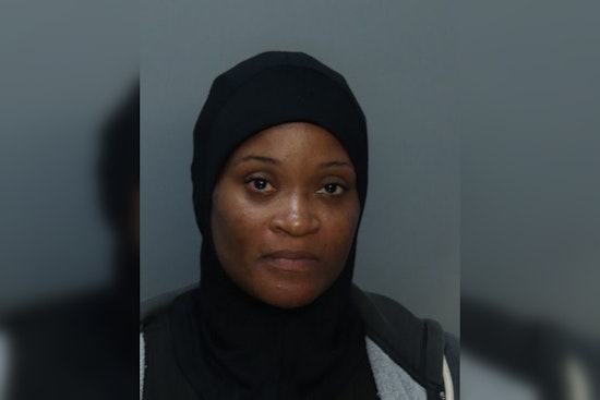 South Florida Mother Arrested at Miami Airport, Suspected of Custody Order Violation and Kidnapping