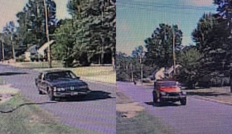 Springfield Police Launch Crackdown on Speeding in Beryl and Ewart Neighborhoods