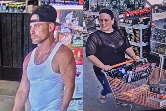 Springfield Police Request Public Aid in Home Depot Theft Case, Suspect Images Released