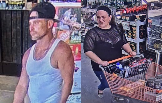 Springfield Police Request Public Aid in Home Depot Theft Case, Suspect Images Released
