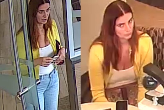 Springfield Police Seek Public's Help to Identify Suspect in Identity Fraud Spree