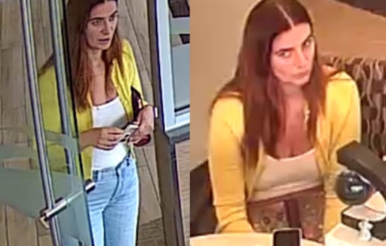 Springfield Police Seek Public's Help to Identify Suspect in Identity Fraud Spree