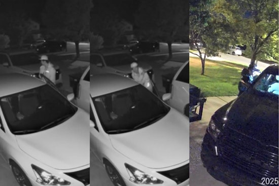 Springville Police Seek Public's Help to Identify "Stoopidhead McTheftman" in Attempted Theft Case