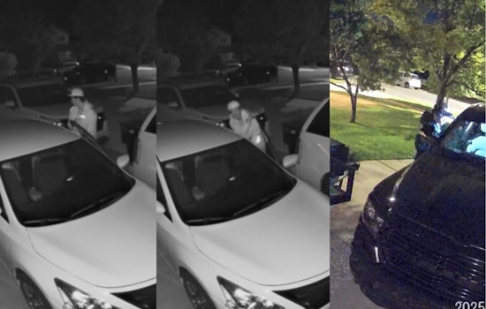 Springville Police Seek Public's Help to Identify "Stoopidhead McTheftman" in Attempted Theft Case