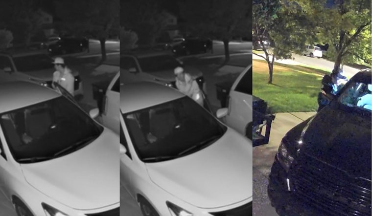 Springville Police Seek Public's Help to Identify "Stoopidhead McTheftman" in Attempted Theft Case