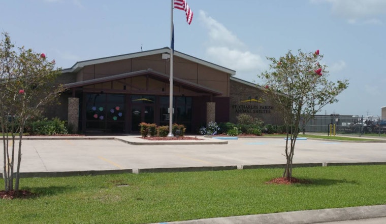 St. Charles Parish Unveils 24/7 Microchip Scanning Station for Lost Pets in Luling