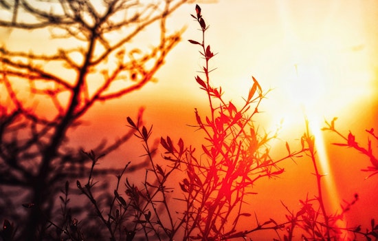 St. Louis and Surrounding Areas Under Extreme Heat Warning With Index Values Up to 114 Degrees