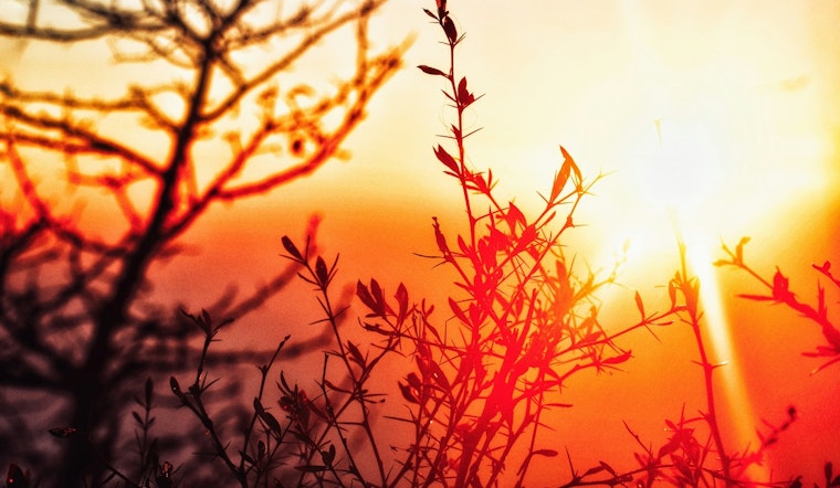 St. Louis and Surrounding Areas Under Extreme Heat Warning With Index Values Up to 114 Degrees