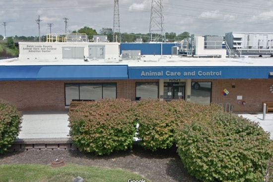 St. Louis County Shelter Regains License, Tackles Overcrowding After Meeting State Standards