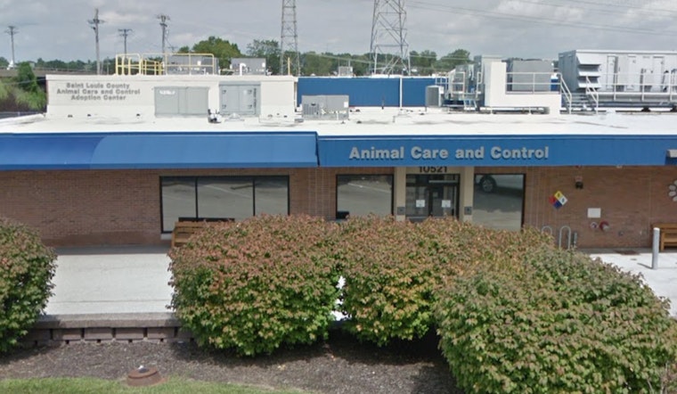 St. Louis County Shelter Regains License, Tackles Overcrowding After Meeting State Standards