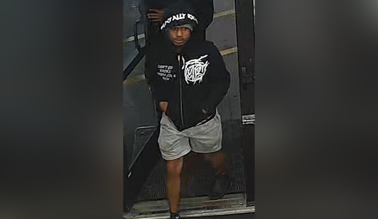 St. Louis Police Seek Public Assistance to Apprehend Suspects in Dutchtown Shooting Death of Jesse Woods