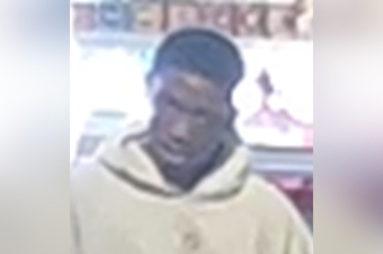 St. Louis Police Seek Suspect for Theft in Lafayette Square as They Request Help from the Community