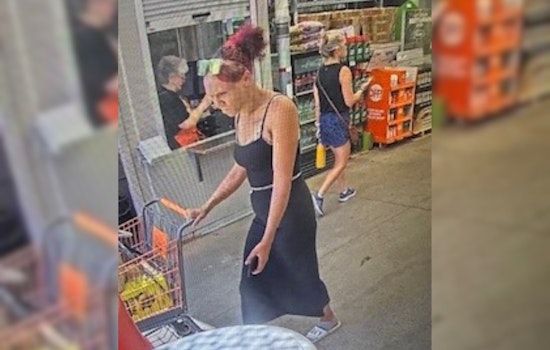 Stark County's Jackson Township Police Appeal for Public Assistance in Investigation, Encourage Discreet Tips