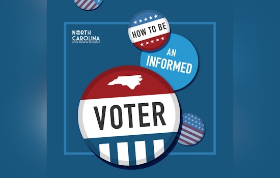 State Board of Elections to Launch "Registration Repair Project" for Voter ID Compliance
