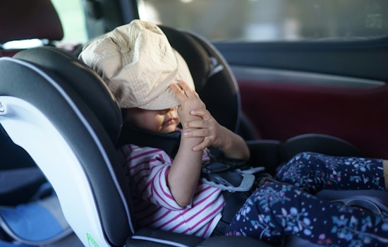Statesville PD Urges Vigilance Against Vehicle Heatstroke Risks for Children and Pets