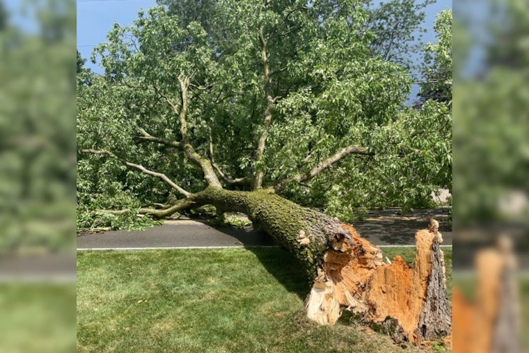 Storm Forces Extended Closure of Dublin Road, Crews and AEP Ohio Mobilize for Cleanup and Power Restoration