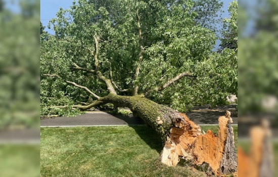 Storm Forces Extended Closure of Dublin Road, Crews and AEP Ohio Mobilize for Cleanup and Power Restoration