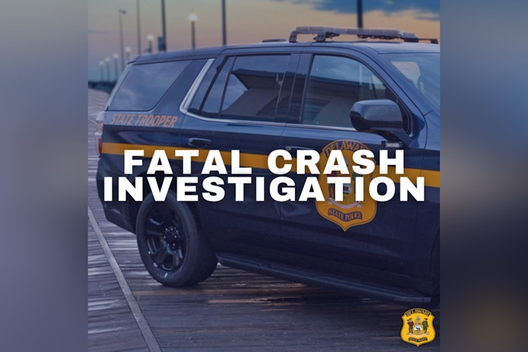 Suspect Arrested for Vehicular Homicide After Fatal Hit-and-Run in Milton, Delaware as Police Seek Witnesses
