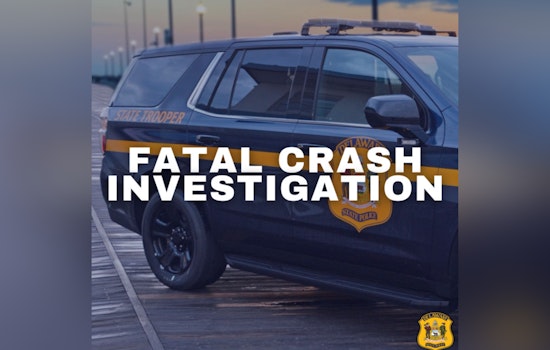 Suspect Arrested for Vehicular Homicide After Fatal Hit-and-Run in Milton, Delaware as Police Seek Witnesses
