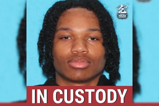Suspect in Detroit Ford Fireworks Shooting Arrested After Manhunt