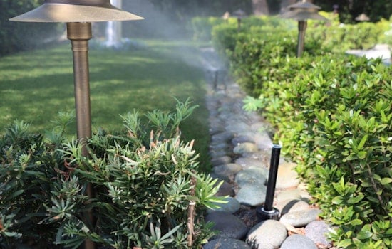 Tampa Rolls Out Rebate Program for Water-Saving Lawn Irrigation Upgrades