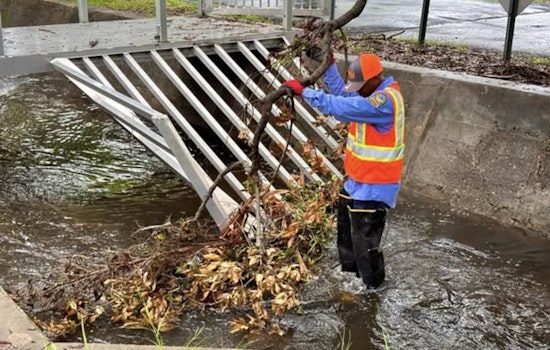 Tampa Stormwater Crews Scour City Drains, Find Onion Among Debris Ahead of Rainy Weekend