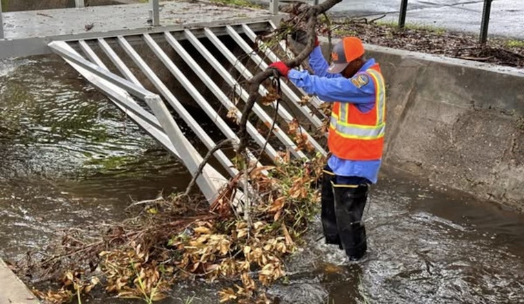 Tampa Stormwater Crews Scour City Drains, Find Onion Among Debris Ahead of Rainy Weekend
