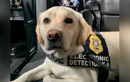 TBI's Trailblazing ESD Canine, Zeus, Retires After Distinguished Service Spanning Across the U.S.