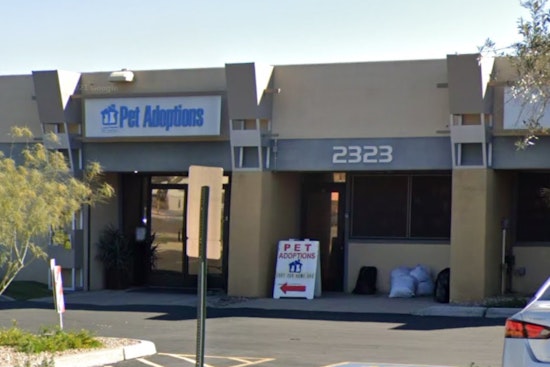 Tempe Community Rallies to Fund Urgent Plumbing Repairs for Lost Our Home Pet Rescue