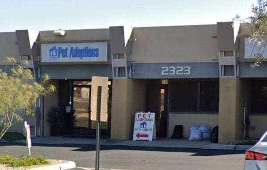 Tempe Community Rallies to Fund Urgent Plumbing Repairs for Lost Our Home Pet Rescue