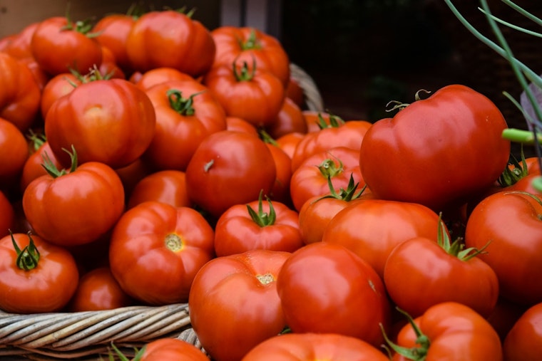 Tomato Turmoil: U.S. Slaps 17% Duty on Mexican Tomatoes, Arizona Braces for Economic Blow and Consumer Price Hike