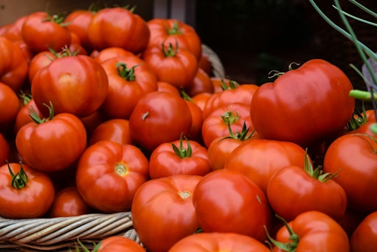 Tomato Turmoil: U.S. Slaps 17% Duty on Mexican Tomatoes, Arizona Braces for Economic Blow and Consumer Price Hike