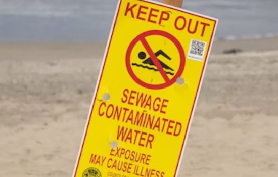 UC San Diego Scientists Unveil Forecasting Tool for Sewage Contamination on Southern California Beaches