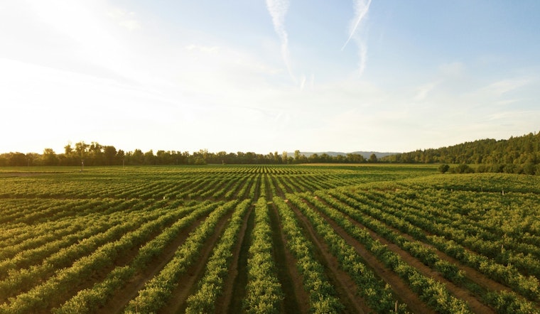 University of Minnesota Spearheads Agricultural Innovation Amid Industry Challenges