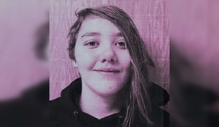Urgent Search Underway for Missing Teen Lily Flippin in Minnesota, Bloomington Police Seeking Public's Aid