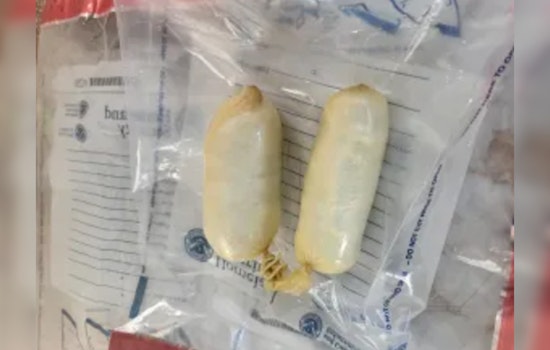 U.S. Citizen Arrested for Smuggling 132.4 Grams of Fentanyl at Bridge of the Americas Port of Entry