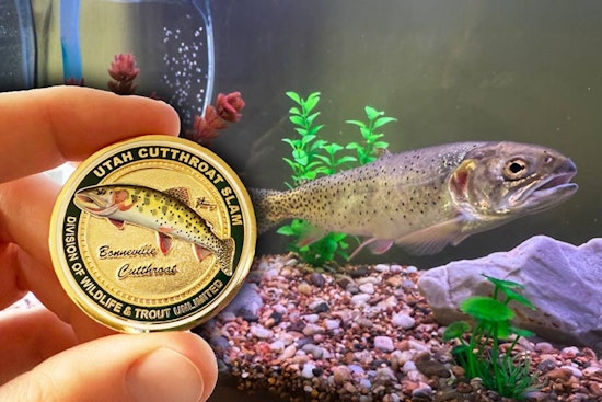 Utah Cutthroat Slam Unveils Coveted Bonneville Medallion as Over 1,750 Anglers Complete Conservation Challenge