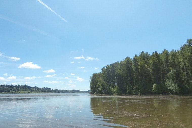 Vancouver Lake's Phase 2 Management Plan Complete, Clark County Eyes Future Despite Funding Hurdles