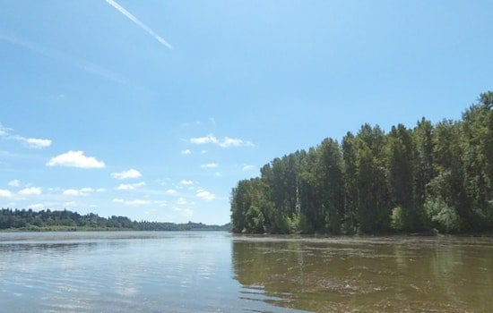Vancouver Lake's Phase 2 Management Plan Complete, Clark County Eyes Future Despite Funding Hurdles