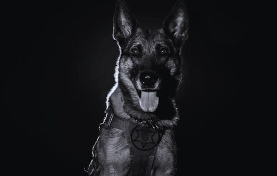 Waukesha County Sheriff's Department Honors Legacy of Retired K9 Justice After Passing