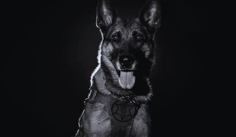 Waukesha County Sheriff's Department Honors Legacy of Retired K9 Justice After Passing